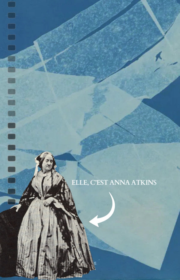 Le processus de création chez Anna Atkins (1843)