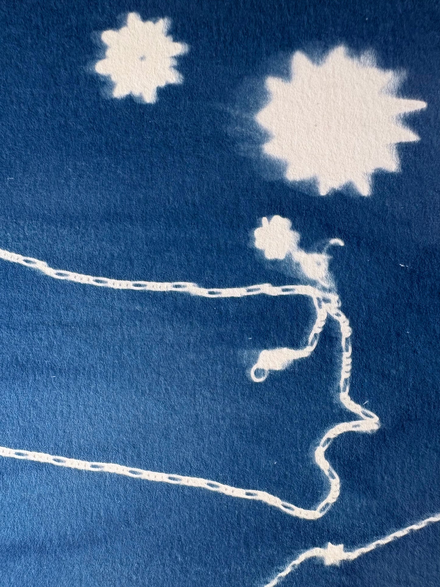 Atelier - Initiation au Cyanotype