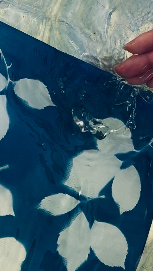 Atelier - Initiation au Cyanotype